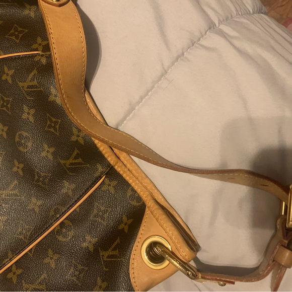 Giant jumbo beautiful hobo - Picture 4 of 4